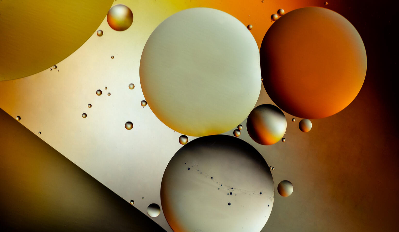 Macro photograph of floating oil droplets forming overlapping circles, lit in gold and brown tones.